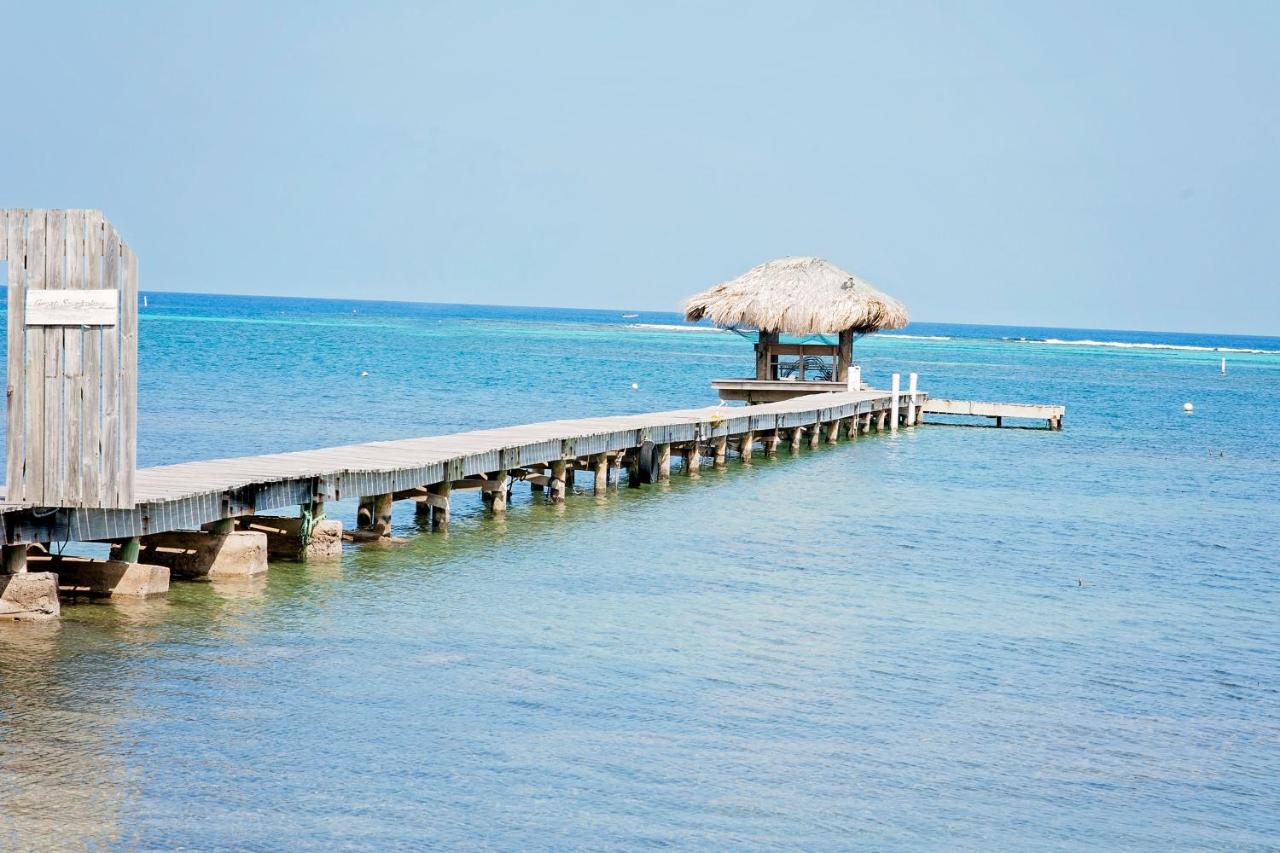 Blue Island Divers Casita Azul Sandy Bay Exterior photo